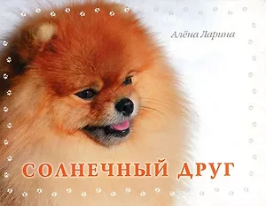 Солнечный друг