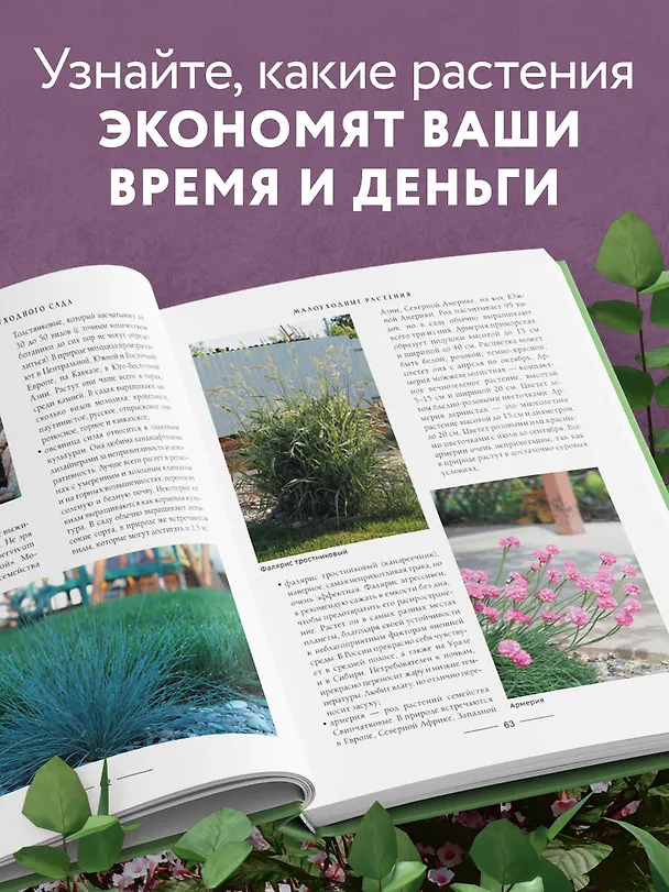 Книга Секреты малоуходного сада. Как создать дизайн участка с неприхотливыми декоративными растениями (Татьяна Селезнева) — 7
