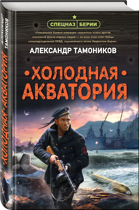 Книга Холодная акватория (Александр Тамоников) — 4