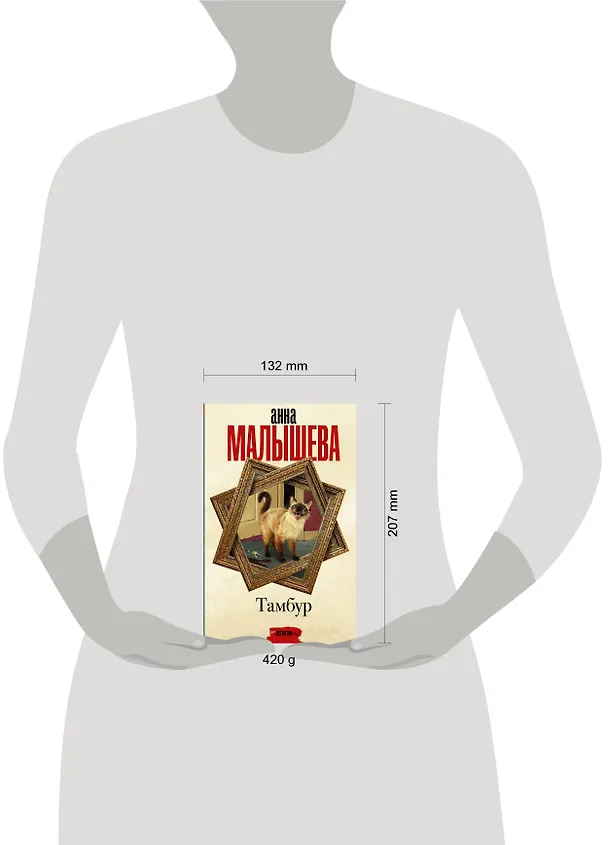 Книга Тамбур (Анна Малышева) — 4