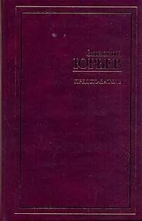 Книга Предсказатель (Зиновий Юрьев)