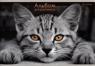 Альбом для рисования Listoff, "Взгляд кота", А4, 40 листов, на скрепке 2973141