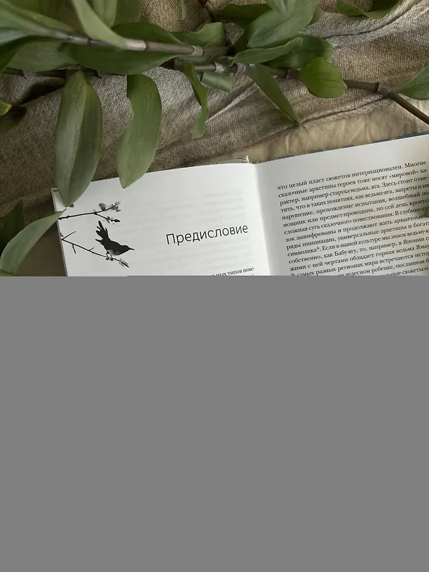 Книга Сказки Японии. Горная ведьма, жена-лисица, Кагуя-химэ и мальчик, который рисовал кошек () — 10