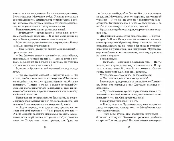 Книга Неистовая буря (Эрин Хантер) — 9