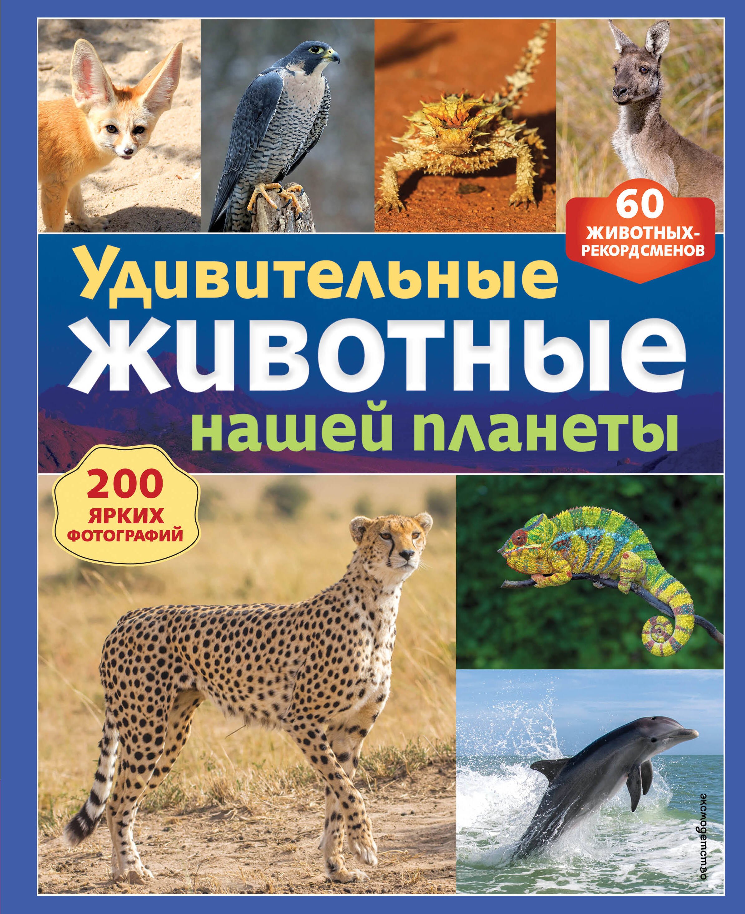 None Удивительные животные нашей планеты