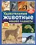 Удивительные животные нашей планеты — 3164425 — 1