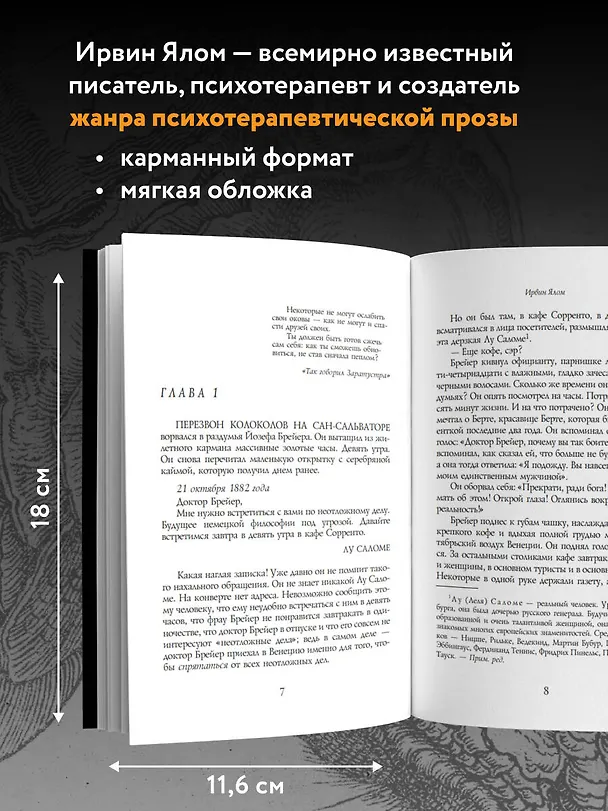 Книга Когда Ницше плакал (Ирвин Ялом) — 6