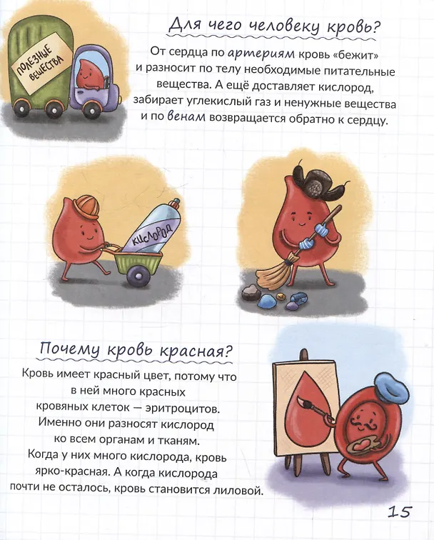 Книга Тайны твоего тела. Энциклопедия для детей (Оксана Иванова, Анастасия Чупрунова) — 5