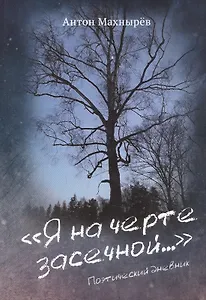 Я на черте засечной…: Поэтический дневник