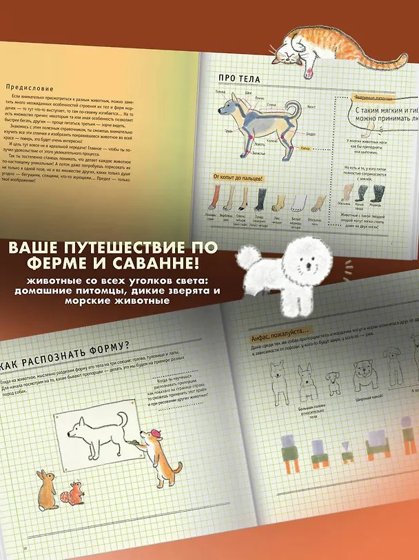 Книга Школа рисования для начинающих: милые животные (Аи Акикуса) — 8