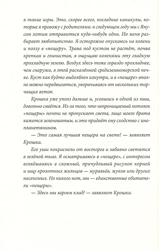 Книга Большая черная птица (Штефани Хёфлер) — 4