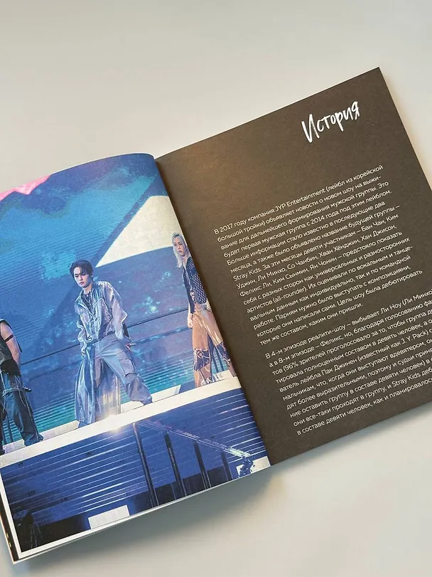Книга Stray Kids и я. Иллюстрированный фанбук с фотографиями группы () — 15