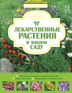 Лекарственные растения в вашем саду.Большая иллюстрированная энциклопедия.