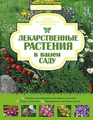 Лекарственные растения в вашем саду.Большая иллюстрированная энциклопедия. — 2309891 — 1