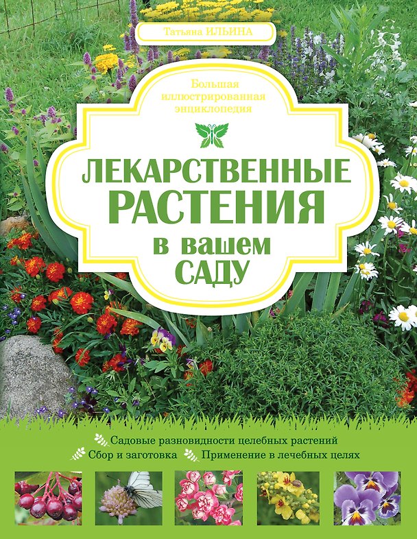 Книга Лекарственные растения в вашем саду.Большая иллюстрированная энциклопедия. (Татьяна Ильина) — 1