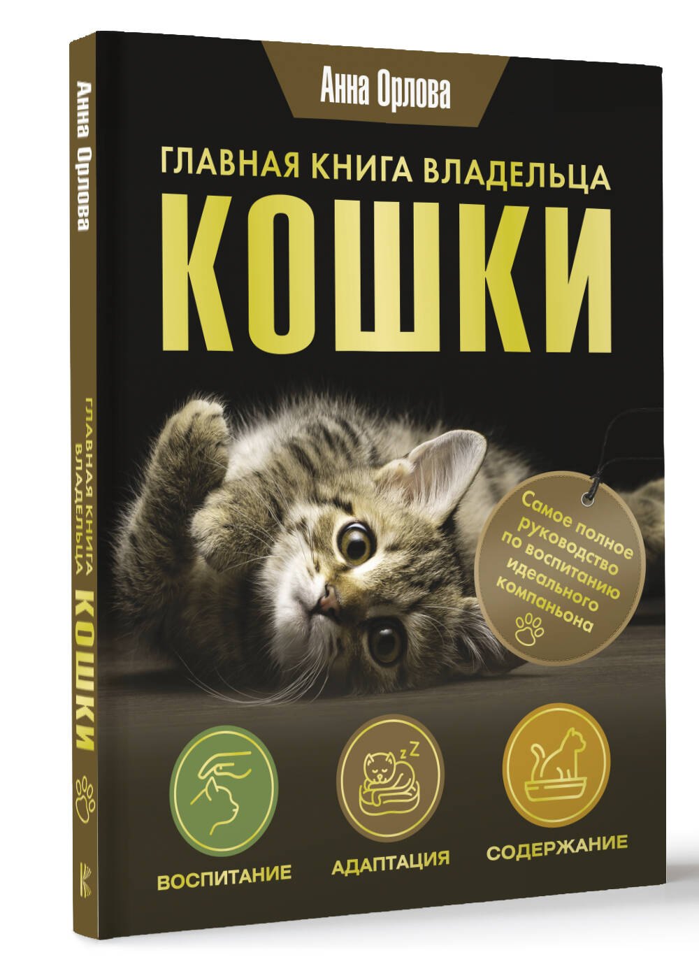 Изображение бумажной книги