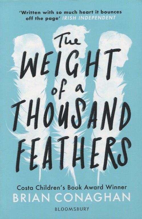 Книга The Weight of a Thousand Feathers (Brian Conaghan) — 1