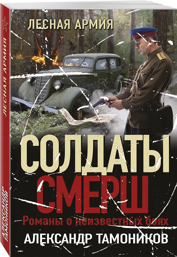 Книга Лесная армия (Александр Тамоников) — 4