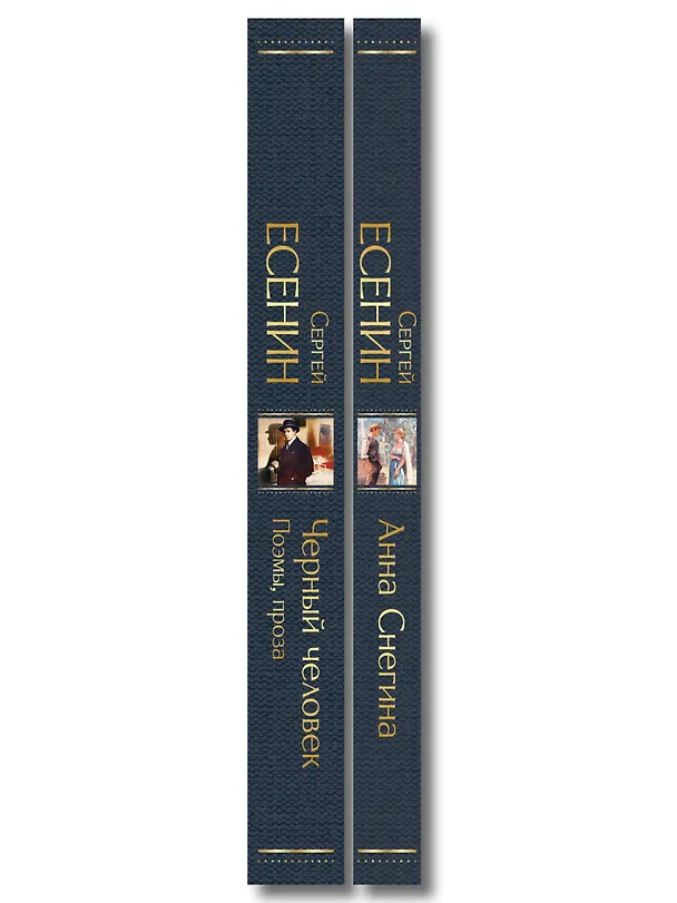 Книга Комплект Поэзия Сергея Есенина (из 2-х книг Черный человек. Поэмы, проза. Анна Снегина ) (Сергей Есенин) — 3