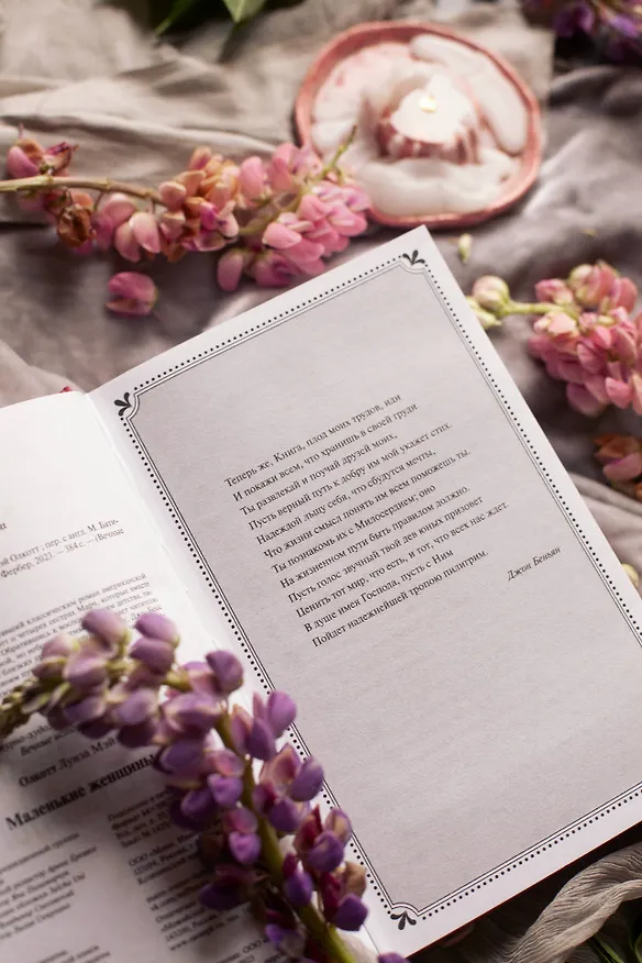 Книга Маленькие женщины (Луиза Мэй Олкотт) — 15