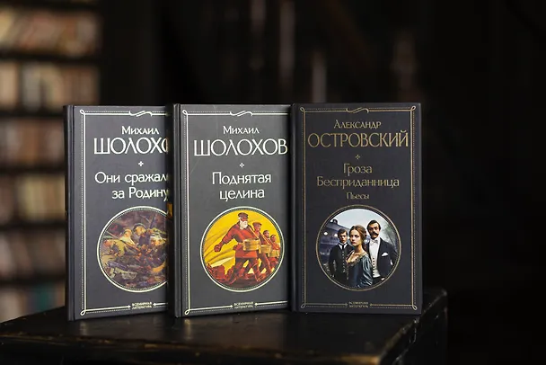 Книга Поднятая целина (Михаил Шолохов) — 14