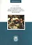 Истоки теории бухгалтерского учета общественного сектора экономики — 2733097 — 1