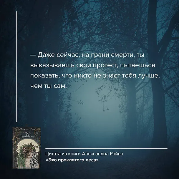Книга Эхо проклятого леса (Александр Райн) — 8