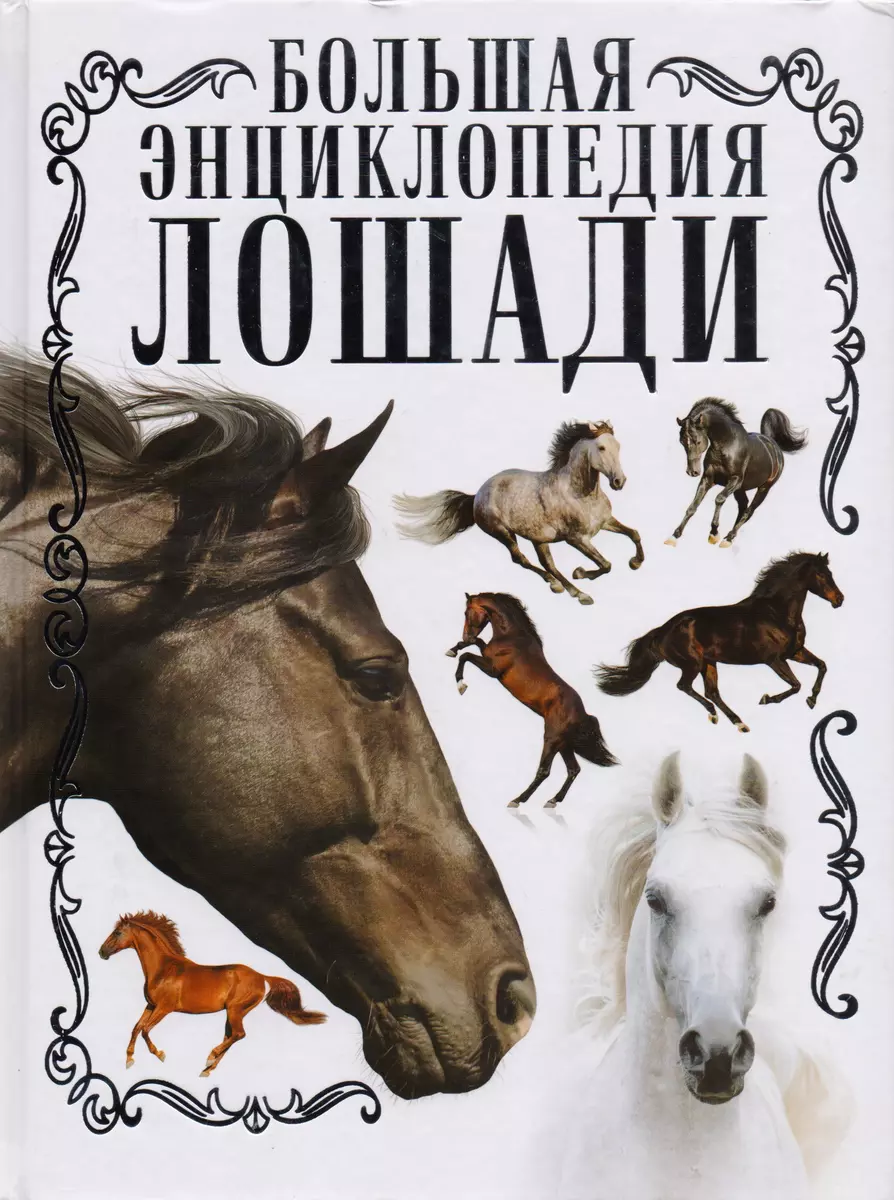 Лошади. Большая энциклопедия (Анна Спектор) - купить книгу с доставкой в  интернет-магазине «Читай-город». ISBN: 978-5-17-105084-9