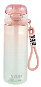 Бутылка с карабином Градиент (пластик) (750мл) (12-16484-202405-B7)