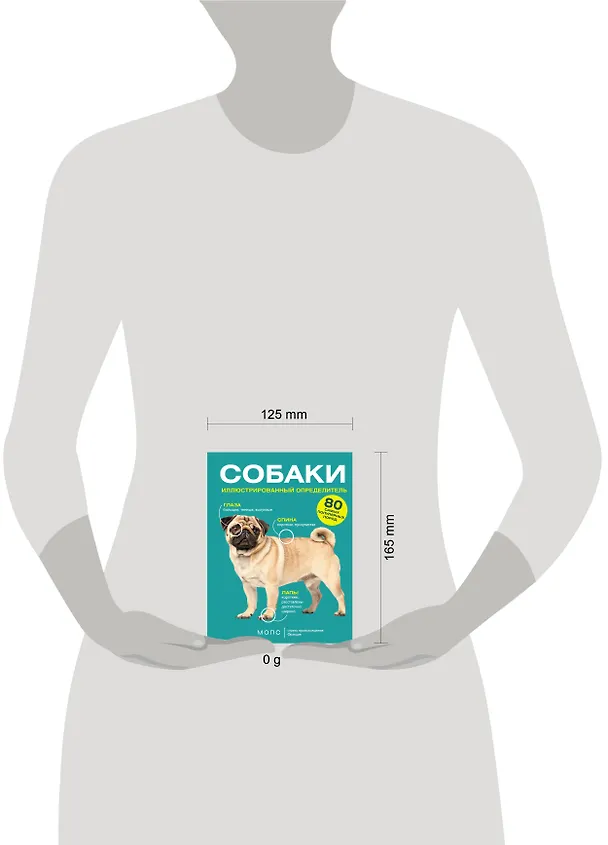 Книга Собаки. 80 самых популярных пород. Иллюстрированный определитель (Ирина Барановская) — 5