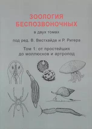 Зоология беспозвоночных. В двух томах. Том 1. От простейших до моллюсков и артропод — 3063798 — 1