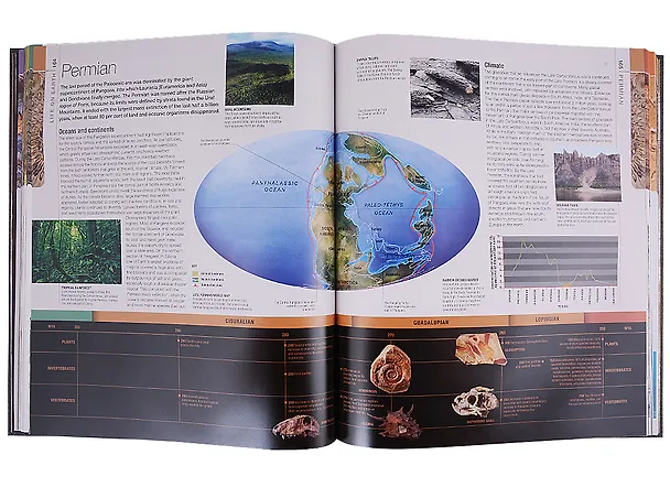 Книга Dinosaurs and Prehistoric Life. The definitive visual guide to prehistoric animals () — 4