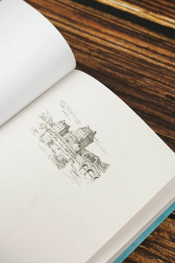 Книга Хозяйка разрушенной крепости (Любовь Оболенская) — 11