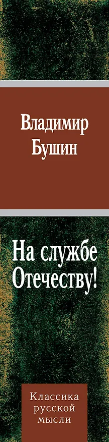 Книга На службе Отечеству! (Владимир Бушин) — 3