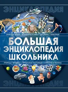Большая энциклопедия школьника