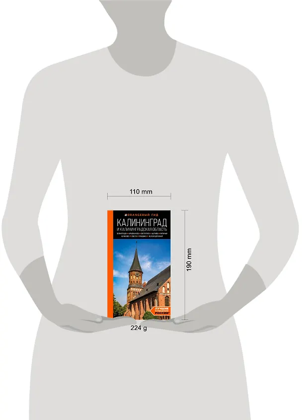 Книга Калининград и Калининградская область: Зеленоградск, Куршская коса, Светлогорск, Балтийск, Янтарный, Черняховск, Советск, Правдинск, Железнодорожный: путеводитель. (Марина Железова) — 8