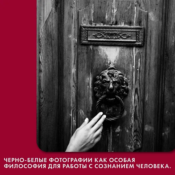 Книга Любовь. Книга о главной способности человека + колода метафорических карт (Лилит Шеина) — 10
