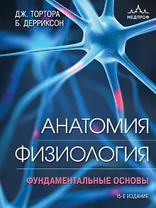 Анатомия. Физиология. Фундаментальные основы. 15-е издание