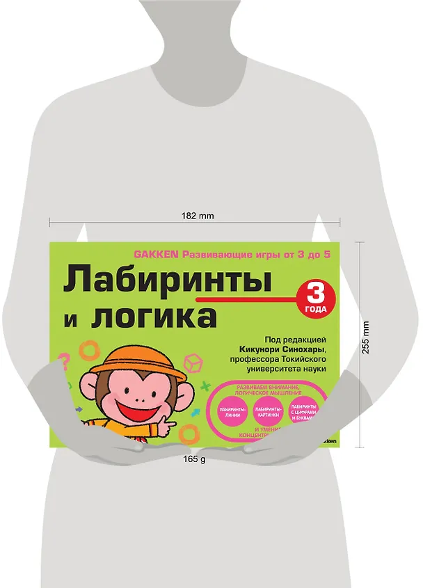 Книга 3+ Лабиринты и логика (Кикунори Синохара) — 5