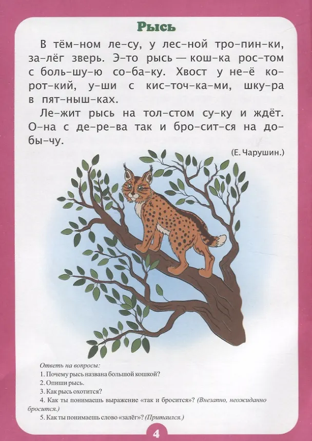 Книга Занимательные рассказы. Слоговой тренажер (Наталья Лободина) — 2