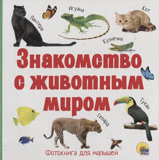 Книга Знакомство с животным миром () — 1