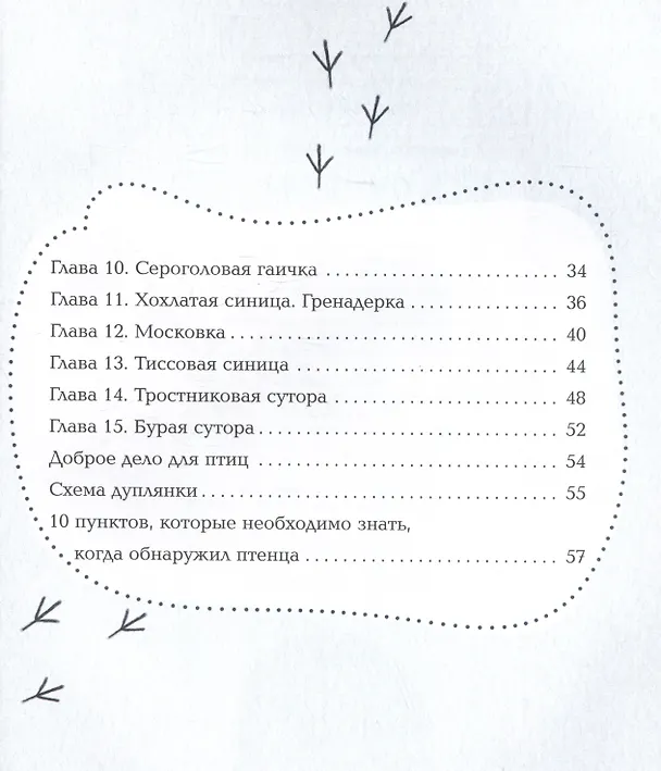 Книга Синицы (Виталий Симуткин) — 7