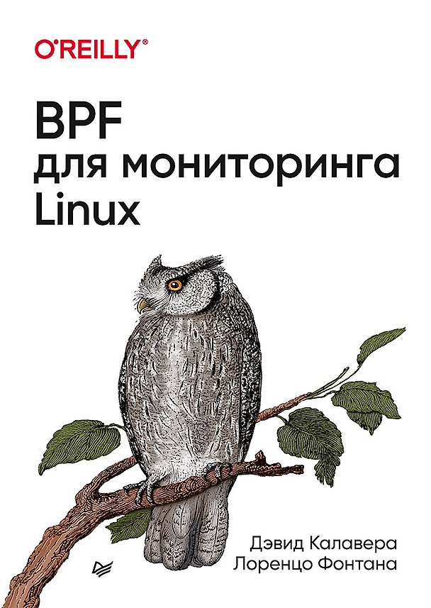 Книга BPF для мониторинга Linux (Дэвид Калавера) — 1