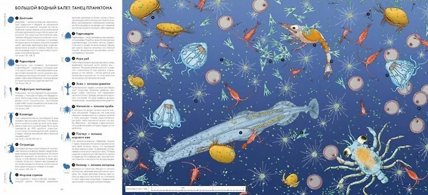 Книга Живой мир под микроскопом (Элен Ражкак, Дамьен Лавердан) — 6