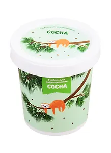 Набор для выращивания Сосна (Ленивец) (НВ2018-16) (2020)