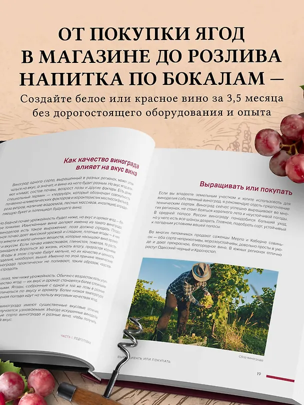 Книга Домашнее виноделие от А до Я: виноградное вино. Пошаговое руководство (Евгений Богачев) — 7