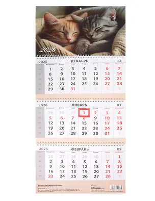 Календарь квартальный 2026г 297*695 "Котики" настенный, трёхблочный, спираль 3095453