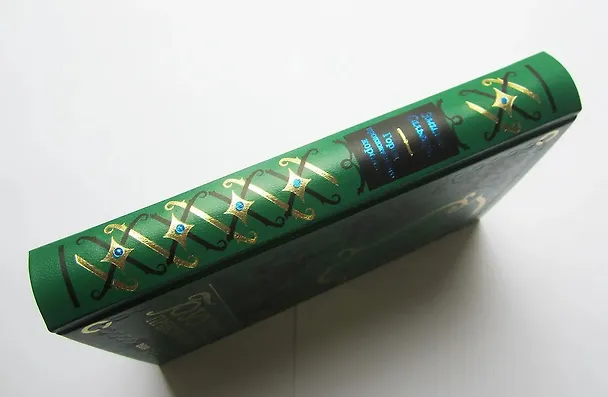 Книга Город Прокаженного короля (Эмилио Сальгари) — 4