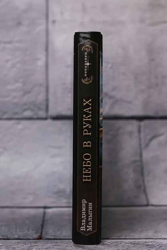 Книга Небо в руках (Владимир Малыгин) — 8