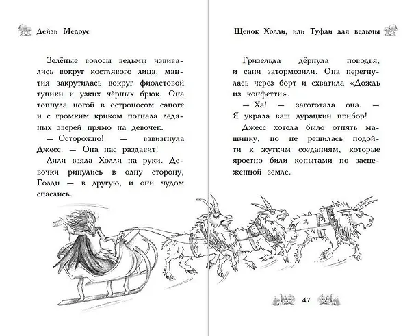 Книга Щенок Холли, или Туфли для ведьмы (зимн.) (Дейзи Медоус) — 9